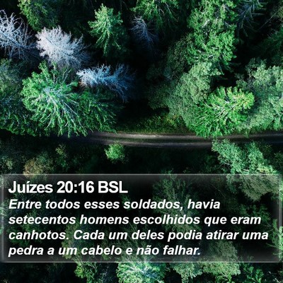 Juízes 20:16 BSL Bible Verse Image
