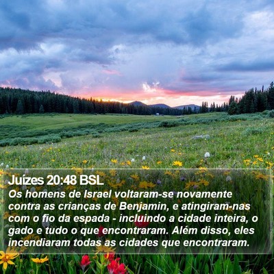 Juízes 20:48 BSL Bible Verse Image
