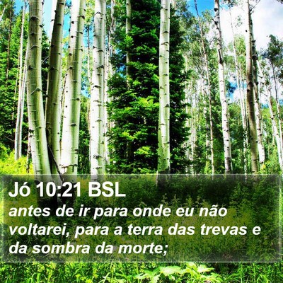 Jó 10:21 BSL Bible Verse Image