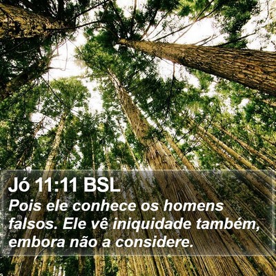 Jó 11:11 BSL Bible Verse Image