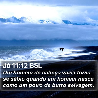 Jó 11:12 BSL Bible Verse Image