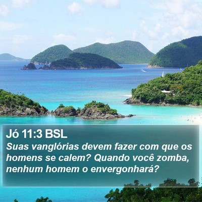 Jó 11:3 BSL Bible Verse Image