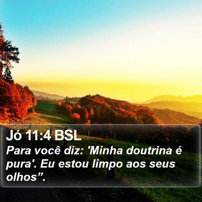 Jó 11:4 BSL Bible Verse Image
