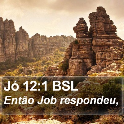 Jó 12:1 BSL Bible Verse Image