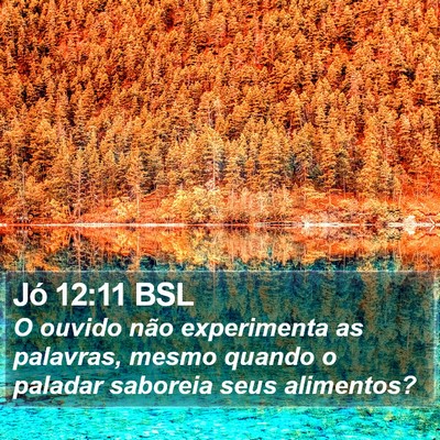 Jó 12:11 BSL Bible Verse Image