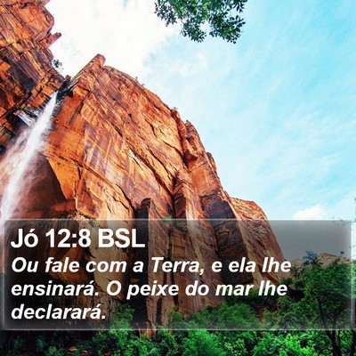 Jó 12:8 BSL Bible Verse Image
