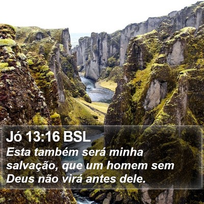 Jó 13:16 BSL Bible Verse Image