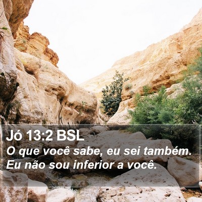 Jó 13:2 BSL Bible Verse Image