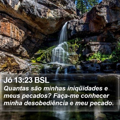Jó 13:23 BSL Bible Verse Image