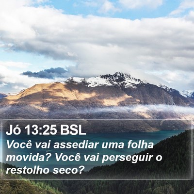 Jó 13:25 BSL Bible Verse Image