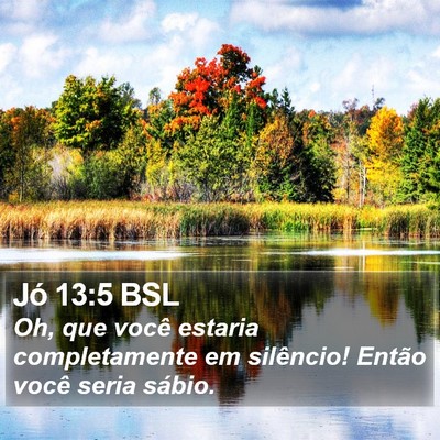 Jó 13:5 BSL Bible Verse Image