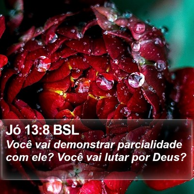 Jó 13:8 BSL Bible Verse Image