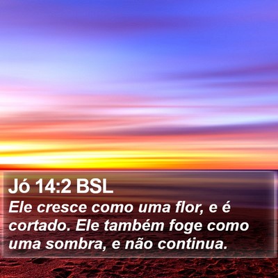 Jó 14:2 BSL Bible Verse Image