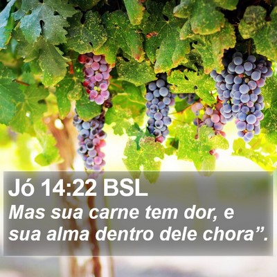 Jó 14:22 BSL Bible Verse Image