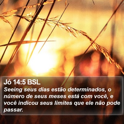 Jó 14:5 BSL Bible Verse Image