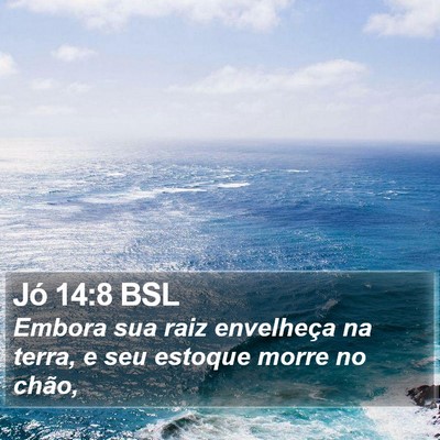 Jó 14:8 BSL Bible Verse Image