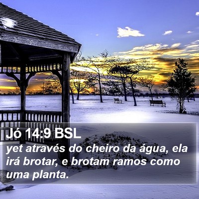 Jó 14:9 BSL Bible Verse Image