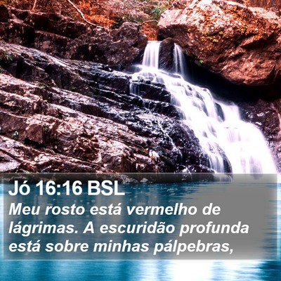 Jó 16:16 BSL Bible Verse Image