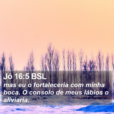 Jó 16:5 BSL Bible Verse Image