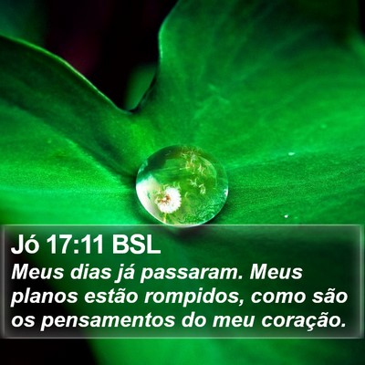 Jó 17:11 BSL Bible Verse Image