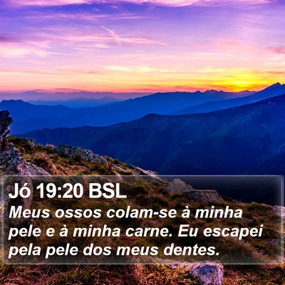 Jó 19:20 BSL Bible Verse Image