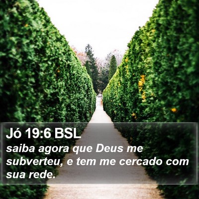 Jó 19:6 BSL Bible Verse Image