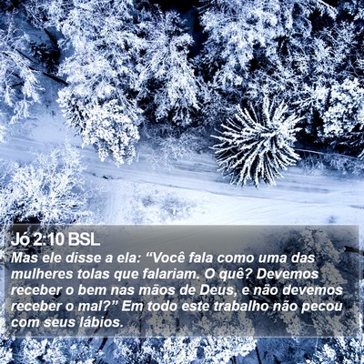Jó 2:10 BSL Bible Verse Image