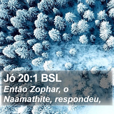 Jó 20:1 BSL Bible Verse Image