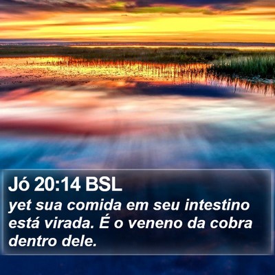 Jó 20:14 BSL Bible Verse Image