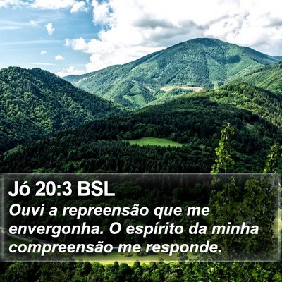 Jó 20:3 BSL Bible Verse Image