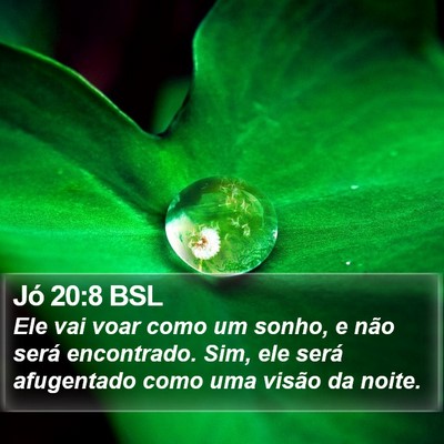Jó 20:8 BSL Bible Verse Image