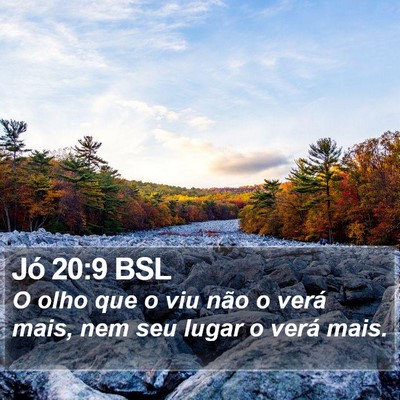 Jó 20:9 BSL Bible Verse Image