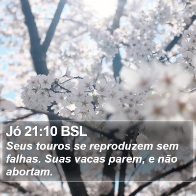 Jó 21:10 BSL Bible Verse Image