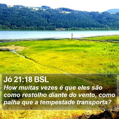 Jó 21:18 BSL Bible Verse Image