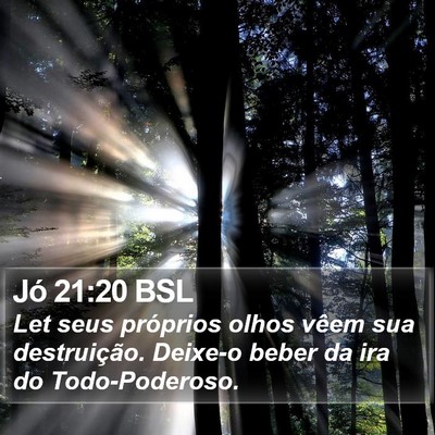 Jó 21:20 BSL Bible Verse Image