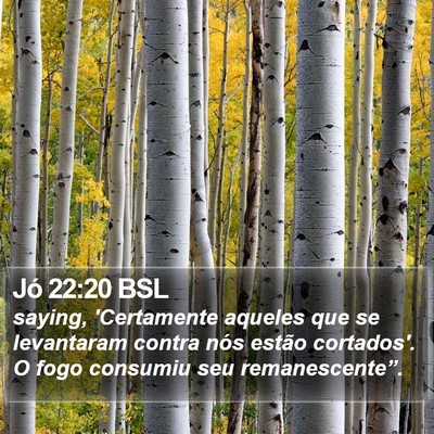 Jó 22:20 BSL Bible Verse Image