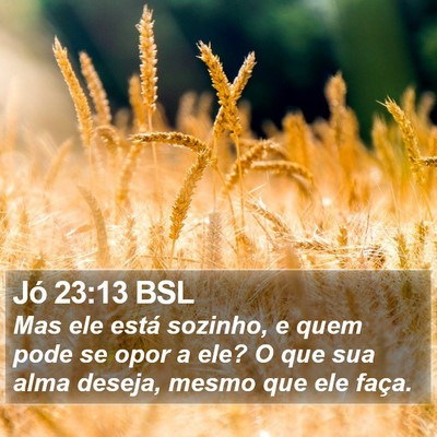 Jó 23:13 BSL Bible Verse Image