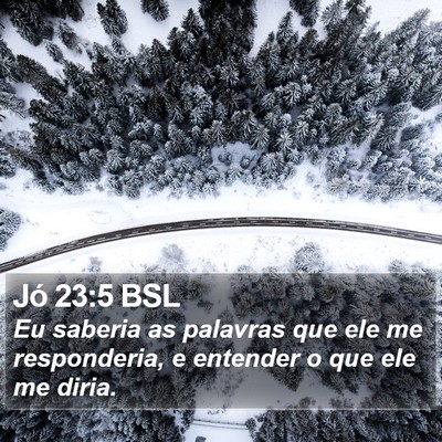 Jó 23:5 BSL Bible Verse Image