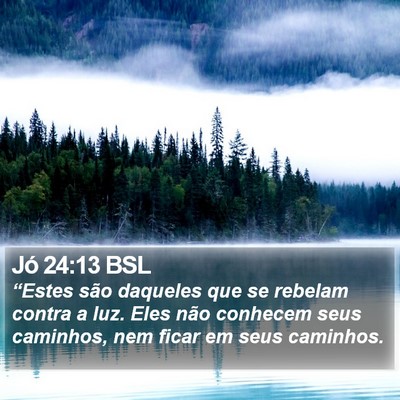 Jó 24:13 BSL Bible Verse Image