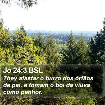 Jó 24:3 BSL Bible Verse Image