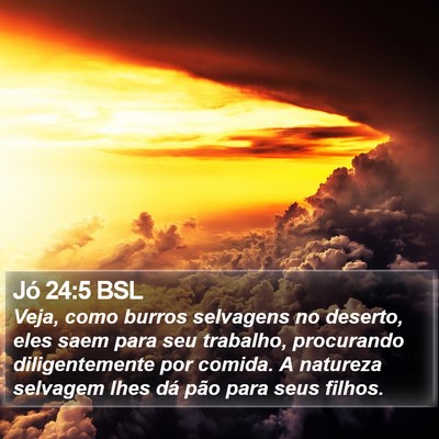 Jó 24:5 BSL Bible Verse Image