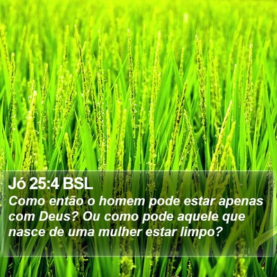 Jó 25:4 BSL Bible Verse Image