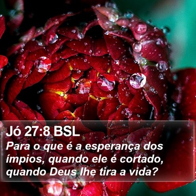Jó 27:8 BSL Bible Verse Image