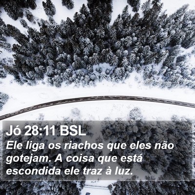 Jó 28:11 BSL Bible Verse Image