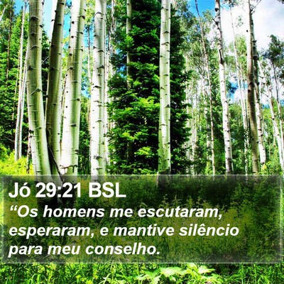 Jó 29:21 BSL Bible Verse Image