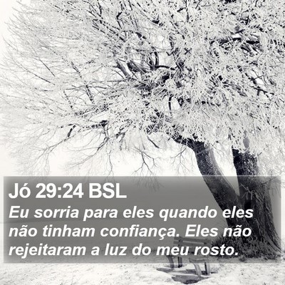 Jó 29:24 BSL Bible Verse Image