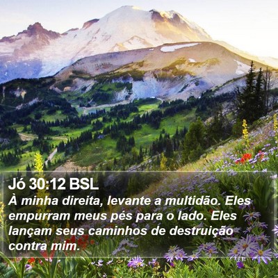 Jó 30:12 BSL Bible Verse Image