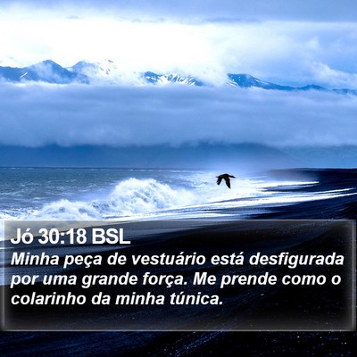 Jó 30:18 BSL Bible Verse Image