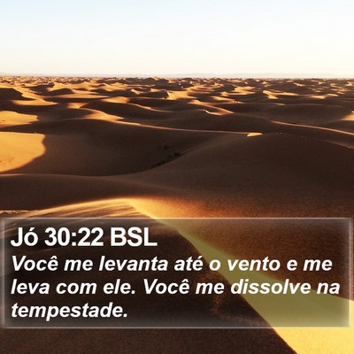 Jó 30:22 BSL Bible Verse Image