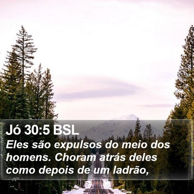 Jó 30:5 BSL Bible Verse Image